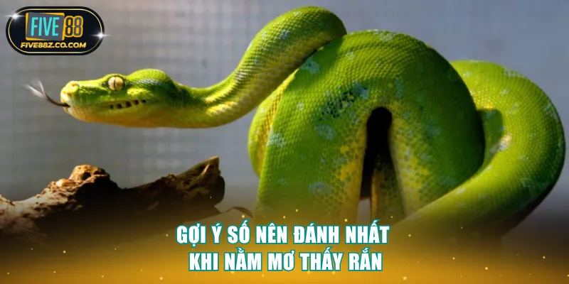 Gợi ý số nên đánh nhất khi nằm mơ thấy rắn